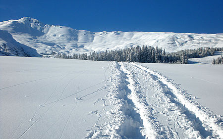 Unberührte Natur beim Schneeschuhwandern in Fiss